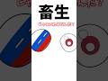 ロシアが完全に日本語を覚えたらしいです #ネタ #countryballs #ポーランドボール #shorts