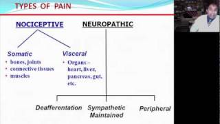 Categories of Pain - Neuropathic vs. Nociceptive
