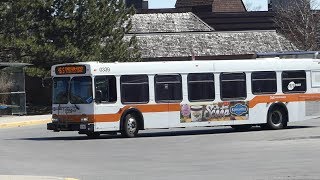 Miway bus: 2003 new flyer d40lf route 46 n/s milocal bus #0339 at
meadowvale town centre