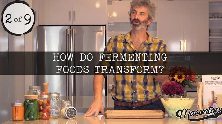 (2 of 9) Sandor Katz - The Transformation of Ferme...