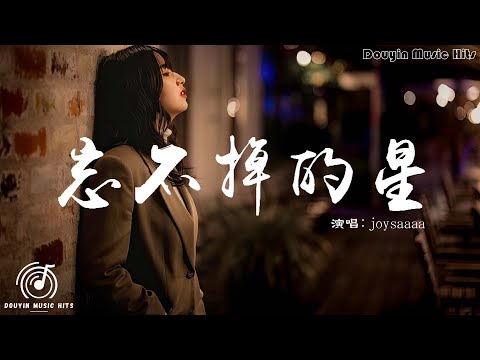 joysaaaa - 忘不掉的星『忘不掉的人像是星星，到了晚上才顯得特別清晰，到現在才了解想念有多凜冽，多想再次回到初見時的街。』【動態歌詞MV】