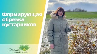 Формирующая обрезка кустарников. ОСЕНЬ/ВЕСНА.