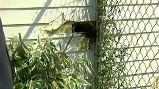 Lightning Strike Damages Four Homes In Valley Springs.mpg