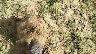 Sucho Czy Mokro Na Polach? A Konkretnie W Życie.