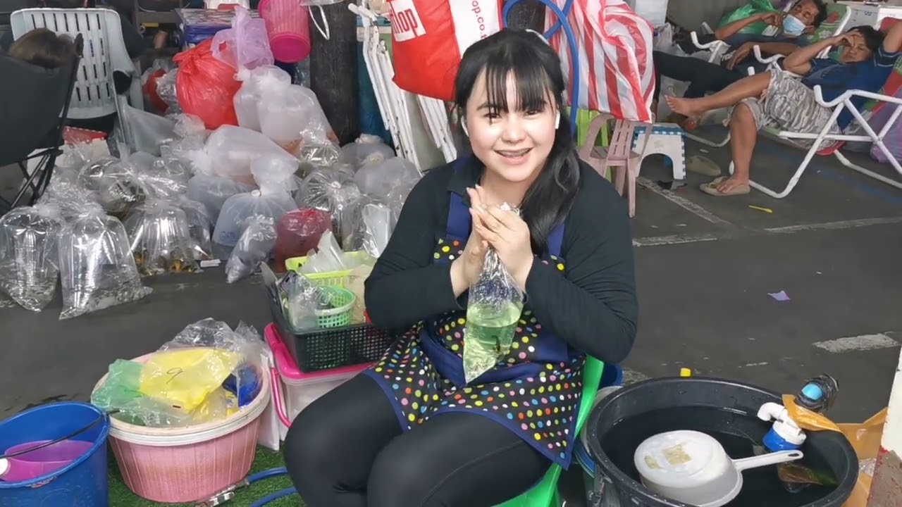 Aquarium​ Fish​ Market​ in Thailand​ ตลาด​ปลา​สวยงาม​ลาน​เร่​จตุจักร​🐟(11​/02​/2026)​