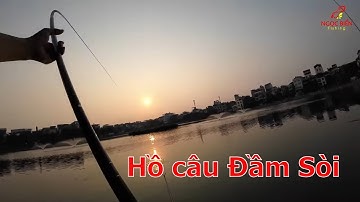 Câu Cá Hồ Đầm Sòi: Thử sức mạnh cần câu Handing Tú Phu Lý!