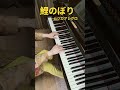 鯉のぼり ムジカアレグロ