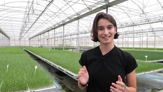 El portafolio | Adela Pereda | SAT Barbas | Universidad Europea del Atlántico