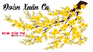 Đoãn Xuân Ca || Hòa Tấu TV || Nhạc Không Lời