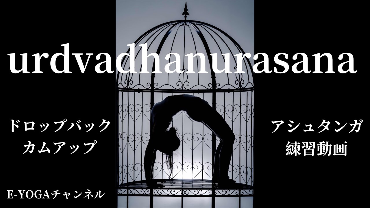 ドロップバックカムアップ/アシュタンガヨガ