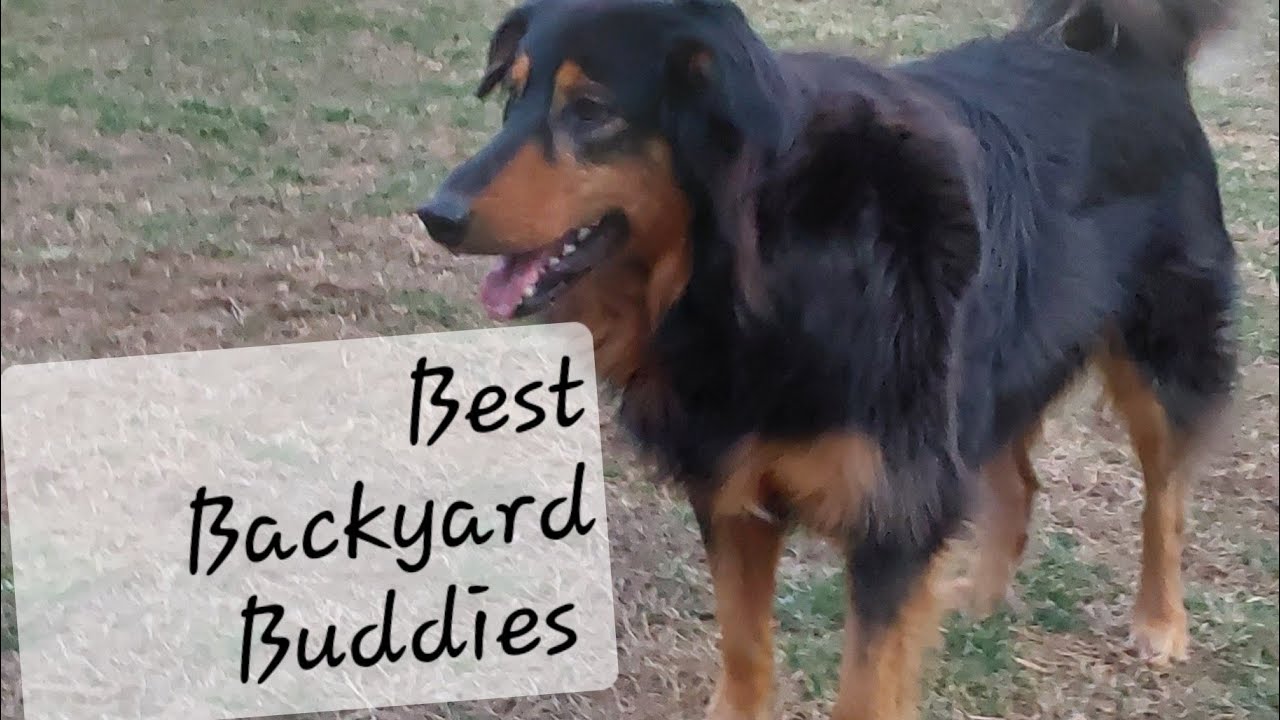 WHY HAS SISSY NOT BEEN ON HER GAME