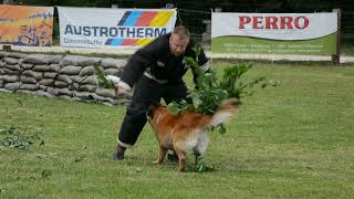 DSC 0202
