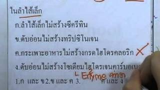 ormBio 136 : การย่อยอาหาร ,ตอน04