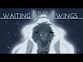 Waiting in the wings - She-Ra and the Princesses of Power fan animatic