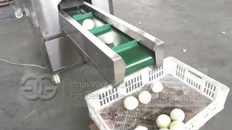 New Type Onion Peeling Machine Test Video From cara@machinehall.com