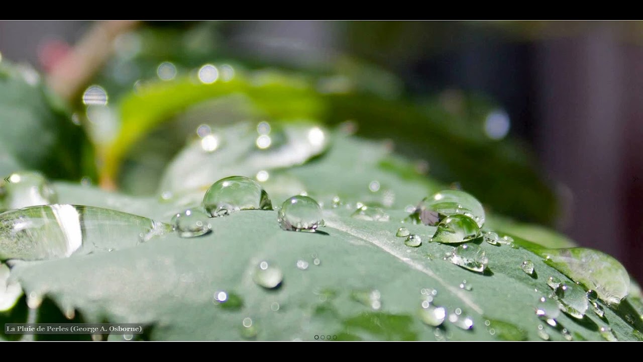 La Pluie de Perles (George A. Osborne)