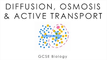 Diffusion, Osmosis & Active Transport - GCSE Biology (short version)
