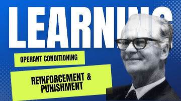 Mastering Operant Conditioning: BF Skinner, Reinforcement & Punishment Explained