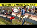 கேமராவில் பதிவான நிகழ்வுகள் 33 /  Unbelievable moments caught on camera  / Tamil Display