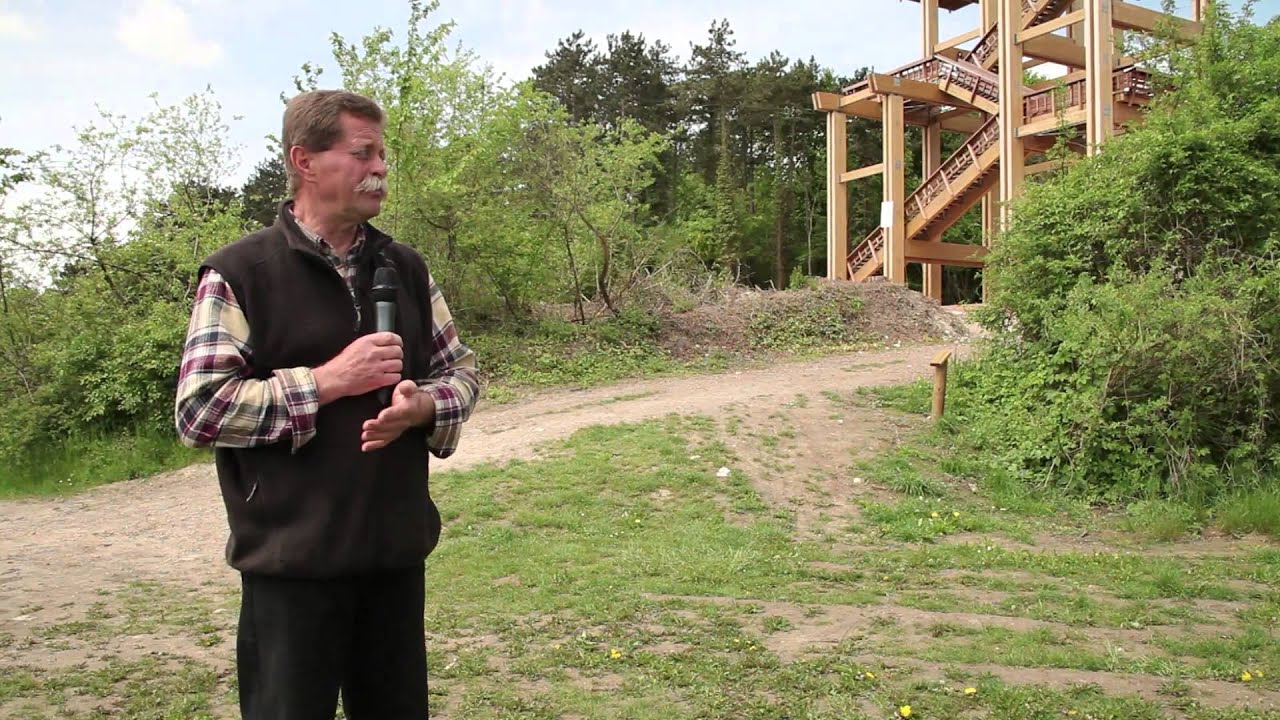 L'offensive du Chemin des Dames