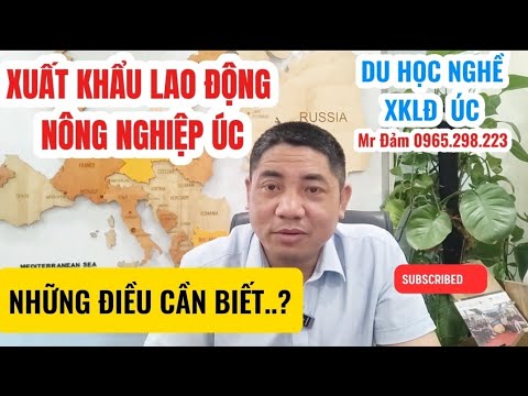 Danh sách 7 Công ty Xuất khẩu Lao động Đáng Tin Cậy tại Khánh Hòa (Cập nhật 2025)