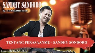 TENTANG PERASAANMU   SANDHY SONDORO Karaoke