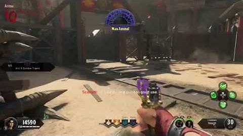 Black Ops 4 Max Ammo Bug