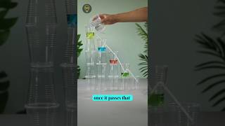 Amazing DIY Science Experiments That Look Like Magic #ScienceExperiments #STEM #ScienceTricks