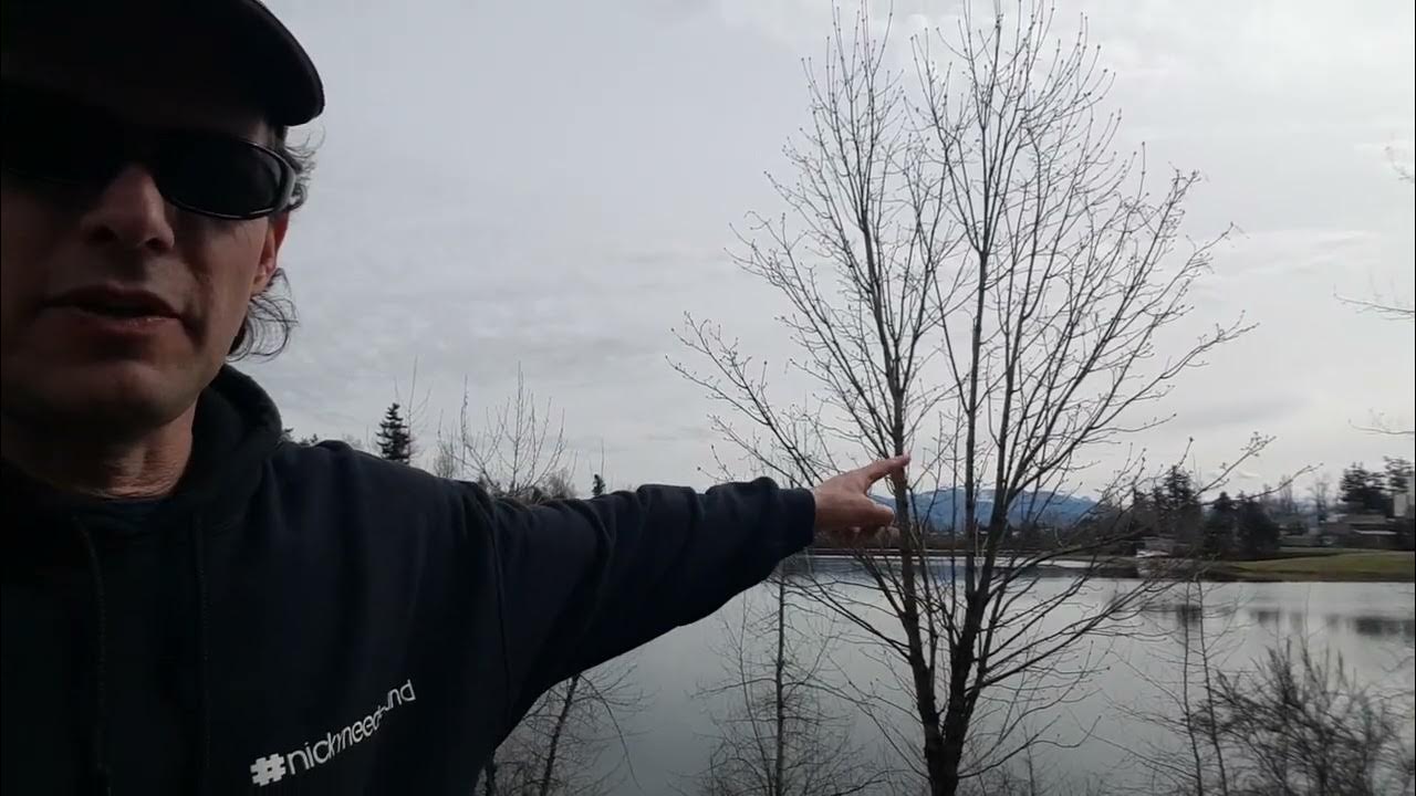 Albert Dyck Park in Abbotsford YouTube
