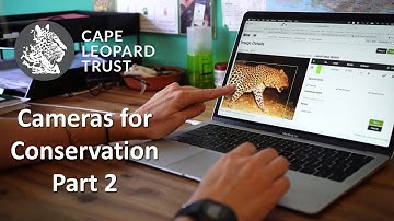 Cameras for Conservation Pt2 - Cape Leopard Trust