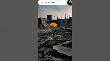 السر الخفي في سورة الشعراء: كيف قلبت السحر على الساحر؟#سورة_الشعراء #القرآن_الكريم #قصص_إسلامية