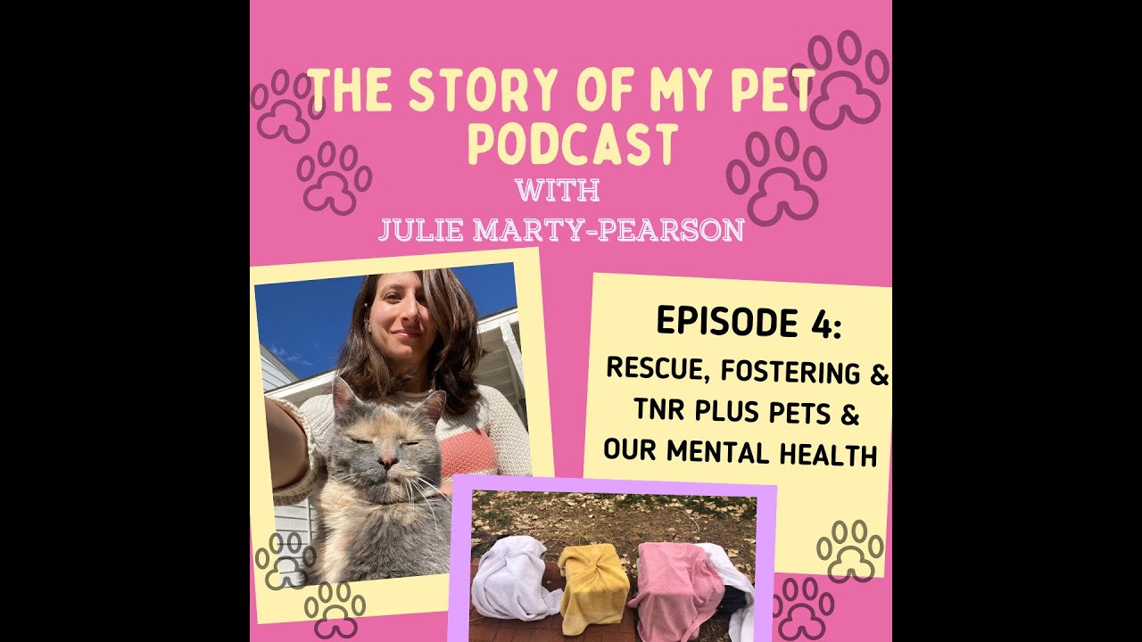 Rescue, Fostering & TNR Plus Pets & Our Mental Health | The Story of My Pet