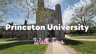 Princeton University Campus Walking Tour | Explore World renowned universities