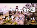【San Marino Live】２周年企画 ツイキャス Live San Marino 共和国