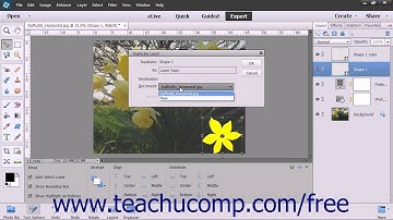 Photoshop Elements 13 Tutorial Stacking & Linking Layers Adobe Training