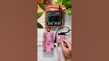 Monome Norns Shield + OBNE Sunlight + Pedal Brainz Left Brain｜Ambient Music, Soundscape　#shorts