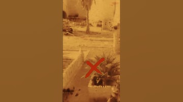 Chivalry 2 : Behind The Bush #gaming #chivalry2