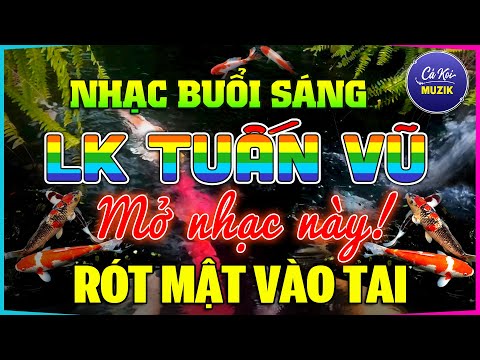 Video Đỉnh Cao LK Tuấn Vũ Không Lời RÓT MẬT VÀO TAI - Hòa... - youtube