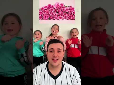 فلتر ابو شنب تركي الوان احمر زهري اخضر