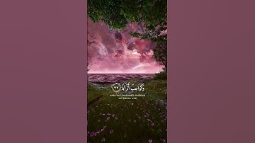 ✨ تلاوة خاشعة تريح القلوب | قرآن كريم بصوت أحمد حمادي#quran #قرآن