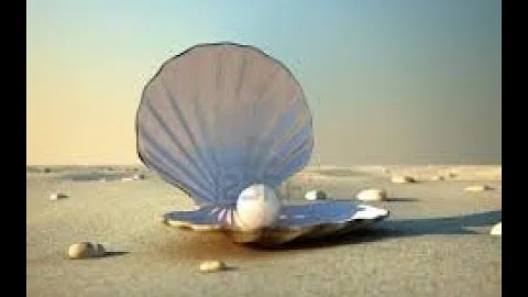 Los Silver Rockets   "La Perla"