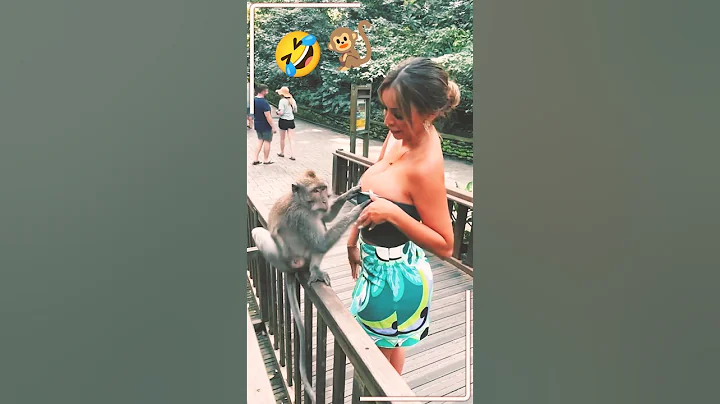 Monkey Plays With Girl 😂 | Funny Monkey Prank Shorts 2025 #shorts #shortsviral #animalvids360