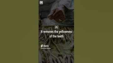 10 Benefits of the Siwak | Shaykh Abdurrazzaq al-Badr حفظه الله  #shorts