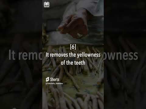 10 Benefits of the Siwak | Shaykh Abdurrazzaq al-Badr حفظه الله  #shorts