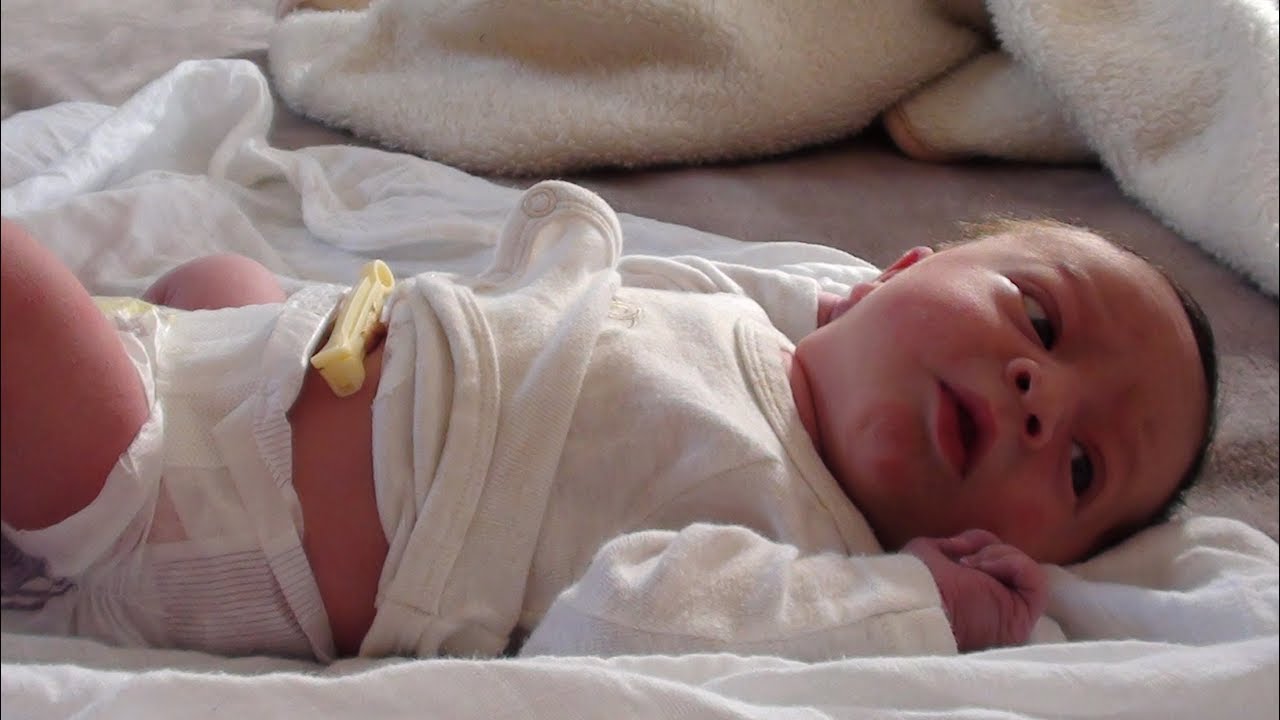 vlogs in spanish Evie's First Days of Life!!