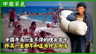中国牛马一生不停的埋头苦干.终其一生都不知道为什么而活#Reaction video