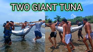 Dalawang Giant Tuna Jackpot | Pacific Blue Fin Tuna