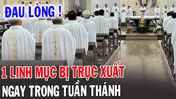 🔴 Breaking News! Weer een priester uit zijn ambt gezet - Bid alstublieft! Bekijk de vlogs