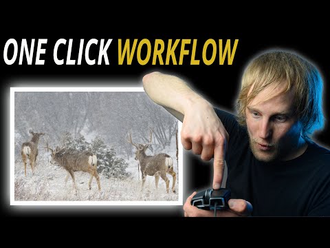 Сделайте свои фотографии ЯРКИМ всего одним щелчком мыши, используя СТИЛИ DARKTABLE