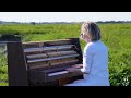 Une pianiste joue sur un marais salant de lle de noirmoutier 